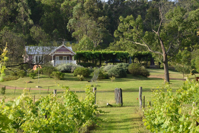 Chef-Led Hunter Valley Food & Wine Tour From Sydney Standard Option