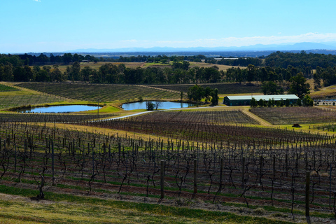 Tour de comida y vino en el valle HunterOpción Estándar