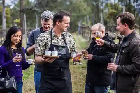Sydney: Tour gastronómico e vinícola em Hunter Valley, liderado por um chef
