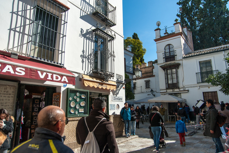 Seville: Alcázar and Cathedral Entry Ticket and Guided Tour Shared Tour in Italian