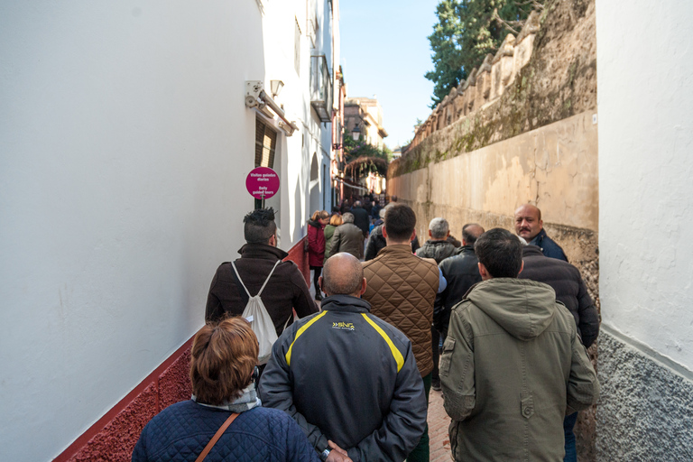 Sevilla: Inträde till Alcázar och katedralen och guidad turGuidad rundtur av Alcázar – gemensam rundtur på spanska