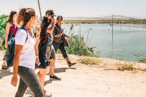 From Tel Aviv: Experience a Communal Kibbutz