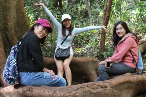 Springbrook - Mount Tamborine National Park Small Group Tour