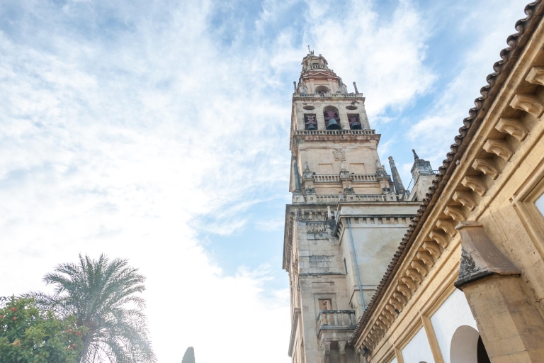 Moskee-kathedraal van Córdoba: rondleiding inclusief ticketsGedeelde activiteit in het Spaans