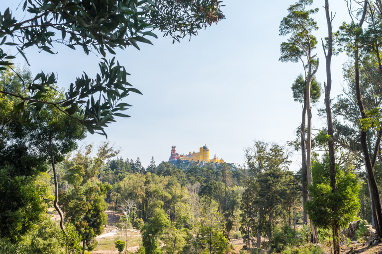 Half-Day Sintra Tour from Lisbon with Transfers