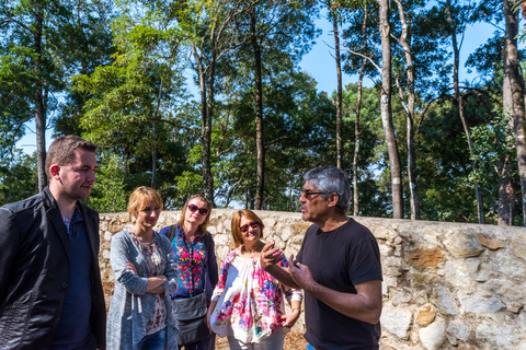 Vanuit Lissabon: halve dag in Sintra inclusief vervoer