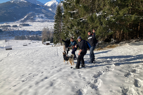 Ehrwald : Randonnée en raquettes à Zugspitze avec vue sur les montagnes