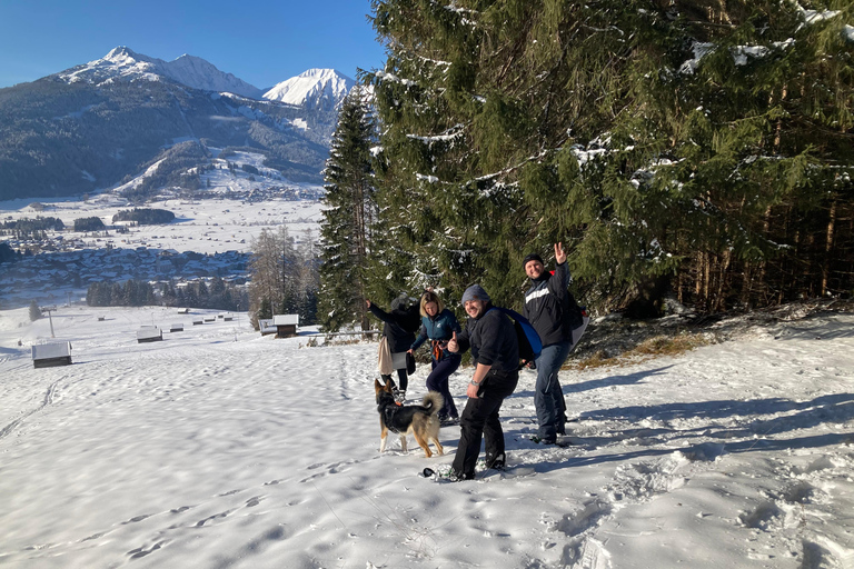 Ehrwald : Randonnée en raquettes à Zugspitze avec vue sur les montagnes