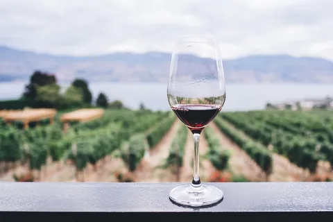 Private Wine Tasting Experience in Athens