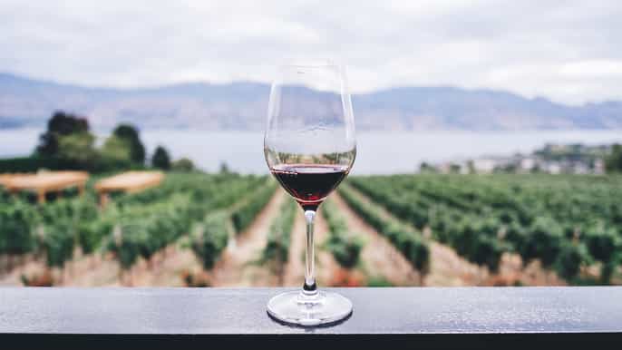 private wine tasting experience in athens