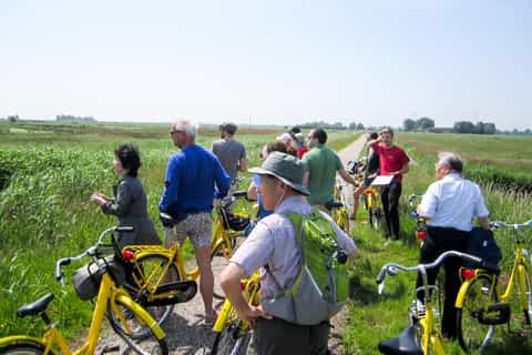 Da Amsterdam: tour in bici di mezza giornata in campagna