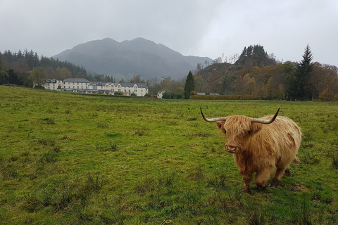 Greenock: Landutflykt till Stirling Castle och Loch Lomond