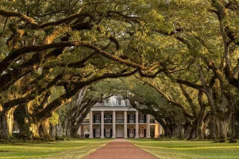 oak alley and swamp tour boat combo from new orleans