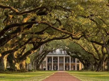 New Orleans: Tour zur Oak Alley-Plantage mit Sumpfboot-Fahrt New Orleans: Tour zur Oak Alley-Plantage mit Sumpfboot-Fahrt