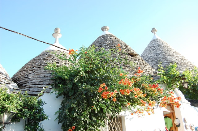 Visit Alberobello History Walking Tour in Ostuni