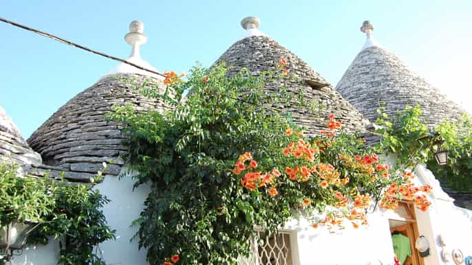 alberobello 1.5hour walking tour