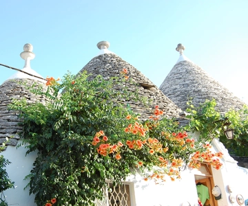 Alberobello: History Walking Tour