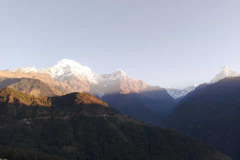 From Pokhara: 4 Night 5 Day Poon Hill, Ghandruk Trek