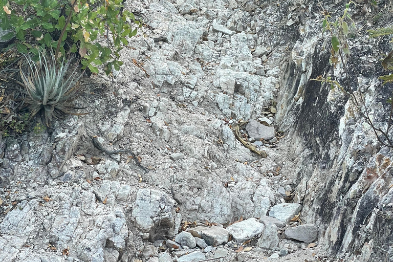 25 Min. from Oaxaca: A Scenic Hike Above the Central Valleys