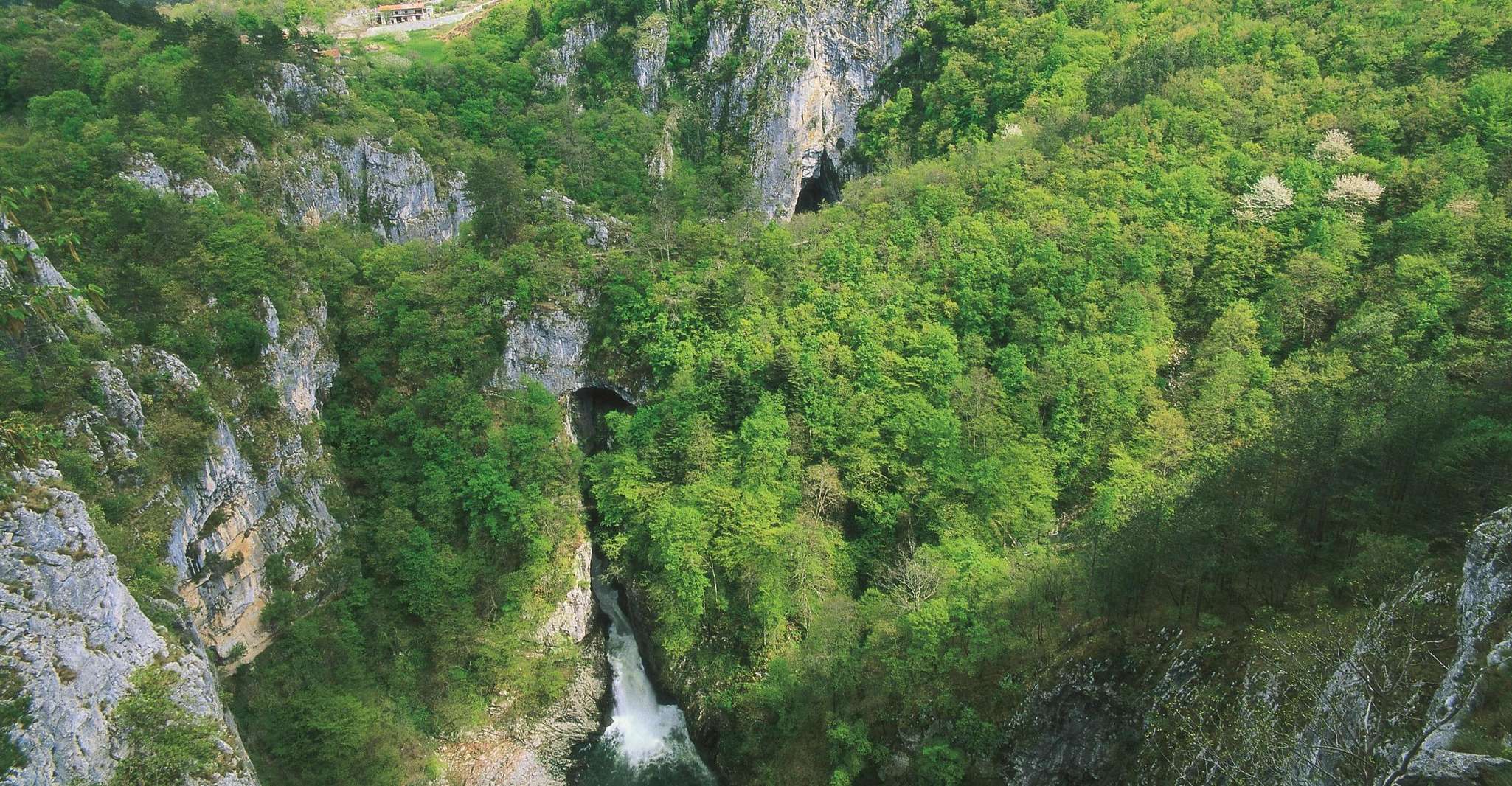 Škocjan Caves and Piran - Housity