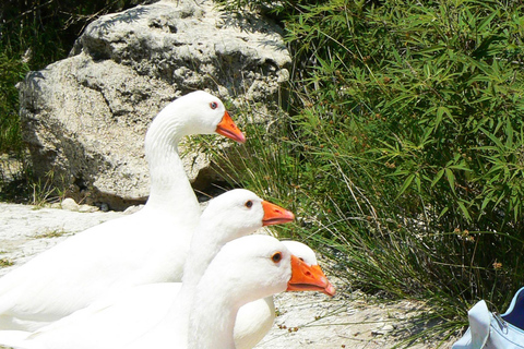 Kreta: natuurtocht van hele dag vanuit Rethimnon