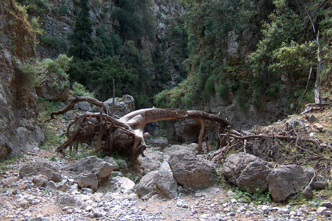 Depuis Réthymnon : gorges d’Imbros et journée à la plagePrise en charge à Réthymnon