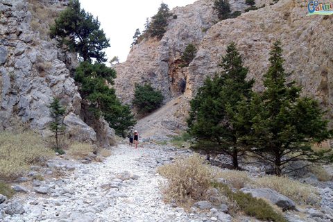 From Rethymno: Imbros Gorge &amp; Libyan Guided Sea TourPickup Panormos, Lavris, Scaleta, Sfakaki, and Stavromenos