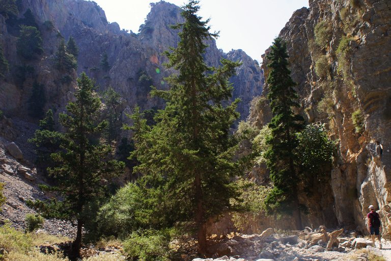 Från Rethymno: Imbros Gorge &amp; guidad tur till Libyska havetFrån Panormos, Lavris, Scaleta, Sfakaki och Stavromenos