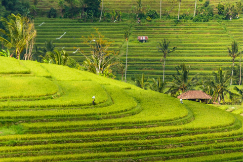 Bali, norra Bali Norra Bali Tour med Jatiluwih, Ulun Danu, vattenfall.