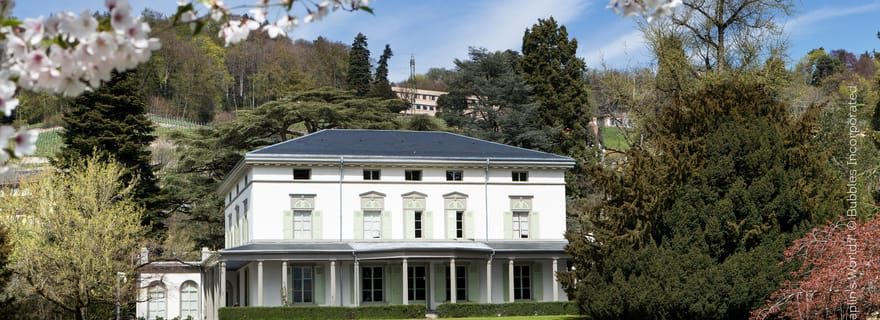 Billet d'entrée pour le Chaplin's World