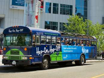 Vancouver: Hop-On/Hop-Off-Busticket für 24 oder 48 Stunden