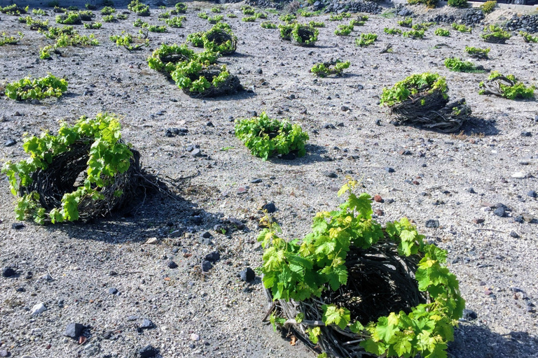 Beste von Santorinis ganztägige private geführte TourBest of Santorini Ganztägige private Führung