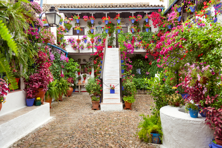 I Patios autentici di Cordoba: tour di 2 ore con bigliettiTour in spagnolo