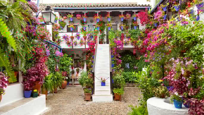 cordobas authentic patios 2hour tour with tickets