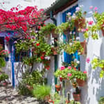 I Patios autentici di Cordoba: tour di 2 ore con biglietti