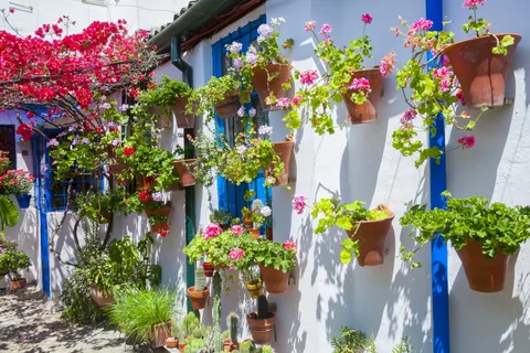Les authentiques patios de Cordoue : visite de 2 heures avec billets