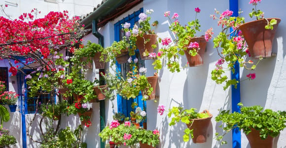 Cordoba&#39;s Authentic Patios: 2-Hour Tour with Tickets