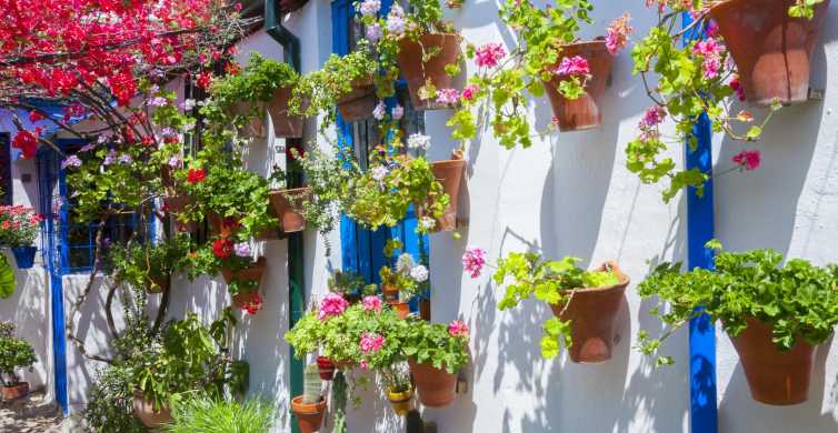Cordoba's Authentic Patios: 2-Hour Tour with Tickets