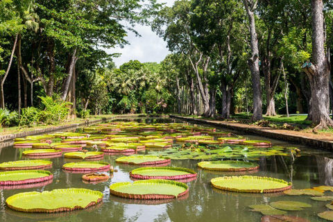 Port-Louis : visite d'une journée complète