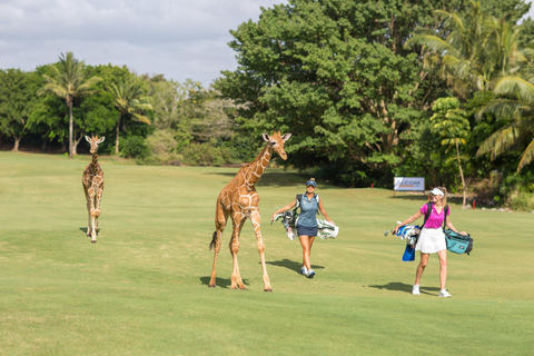 3 nachten Vipingo Golf Safari & Vlucht Tour3 nachten Vipingo Golfarrangement & Vlucht Tour