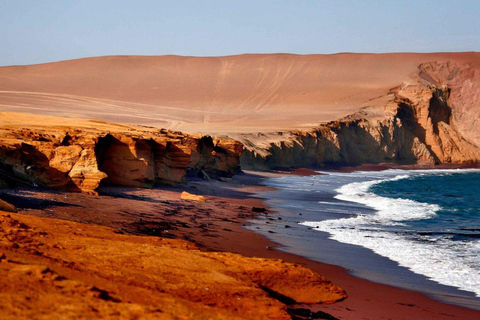 Expedição off-road à Reserva de Paracas - Buggy ou Quadriciclo