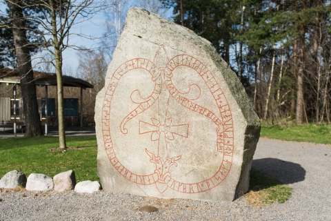 Au départ de Stockholm : circuit privé de 9 heures sur l'histoire des Vikings d'Uppsala