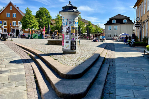 From Oslo: Drøbak and Oscarsborg Fortress Day Trip