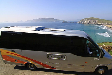 From Killarney: Dingle and Slea Head Peninsula Day Tour