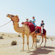 Dubai: Ørkensafari med sandbrett, kamelridning & grillmat
