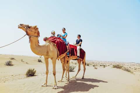 Dubai: Red Dune Safari, Camel Ride, Sandboarding, and Dinner