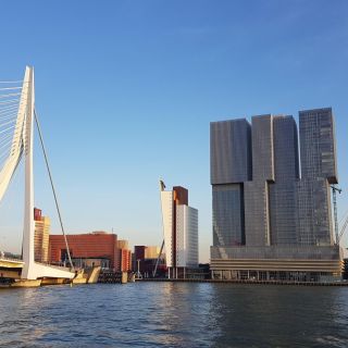 Desde Ámsterdam: Rotterdam y Kinderdijk Excursión Privada de un Día