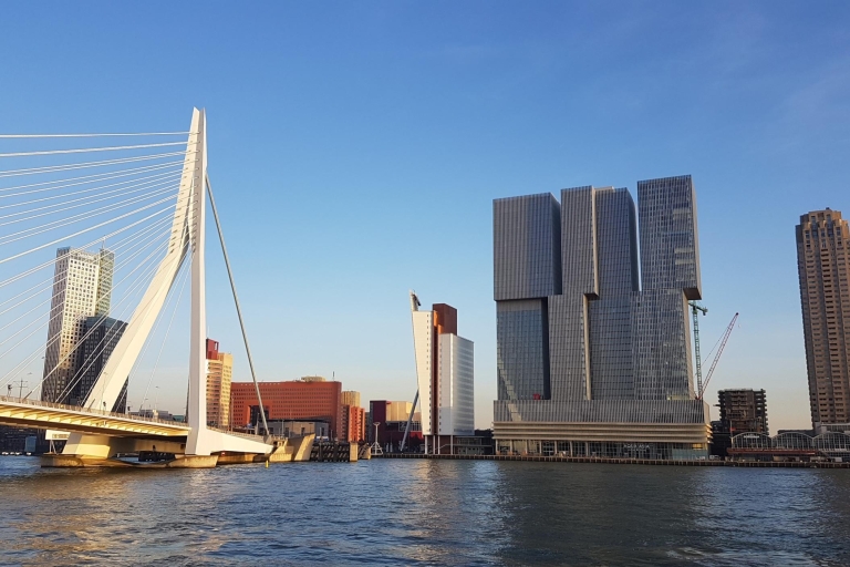 Depuis Amsterdam: excursion privée d'une journée à Rotterdam et Kinderdijk