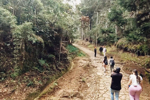 Medellín: Excursion to Arví and Finca de Flores - Hike, Snack & Lunch