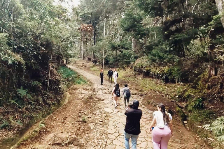 Medellín: Excursion to Arví and Finca de Flores - Hike, Snack & Lunch